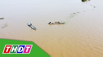Mùa nước nổi ở miền Tây dự báo đạt đỉnh vào giữa tháng 10 | THDT