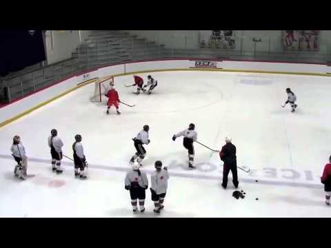 Backcheck Small Area Game