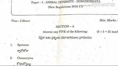 B.Sc Question paper|Zoology| Non chordates