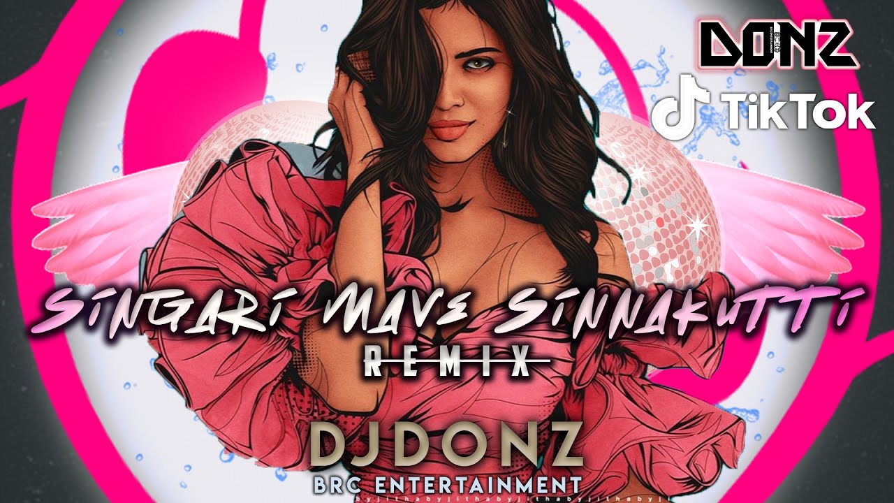 Dj DONZ   Singari Mave Sinnakutti Mix   Fans Request Special