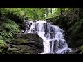 【自律神経を整える】気分が晴々と、爽快になる音楽【テンダートーン】疲れた時に聴く音楽｜ 脳の疲れを取る音楽 自律神経を整える音楽 心が落ち着く音楽 睡眠音楽 リラックス音楽 α波 波の音
