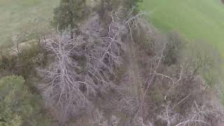 5 zoll 2004 1800kv 4s 1100mah 100c tattu fun fly