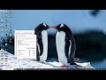 Best Way to Share Files Between Two Computers | Windows 10 &amp; 11 | WiFi &amp; LAN File Sharing 2025