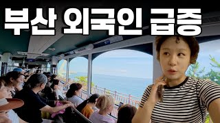 착한꿀벌 대표 영상 썸네일
