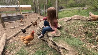 Composting and Chicken Coop Problems