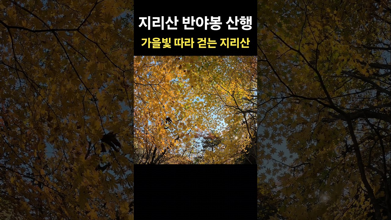 가을빛 따라 걷는 지리산 🍁🍂