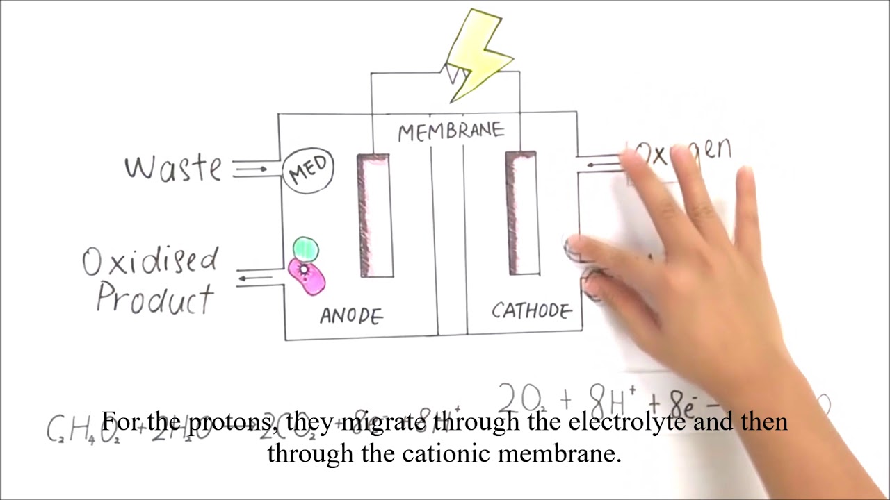 EKC378Group05 - Microbial Fuel Cell