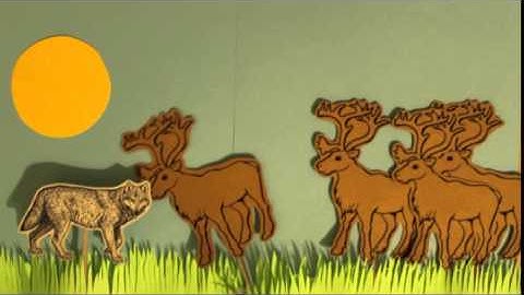 EEB 100 - Functional Response Curves