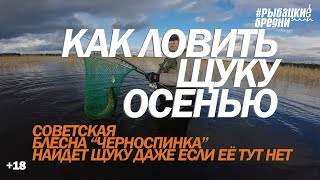 Ловля щуки на спиннинг. Дешевая и убойная блесна!