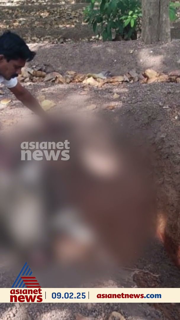 കൊല്ലം പൂയപ്പള്ളിയില്‍ കര്‍ഷകര്‍ക്ക് തലവേദനയായ കാട്ടുപന്നിയെ വെടിവെച്ച് കൊന്നു