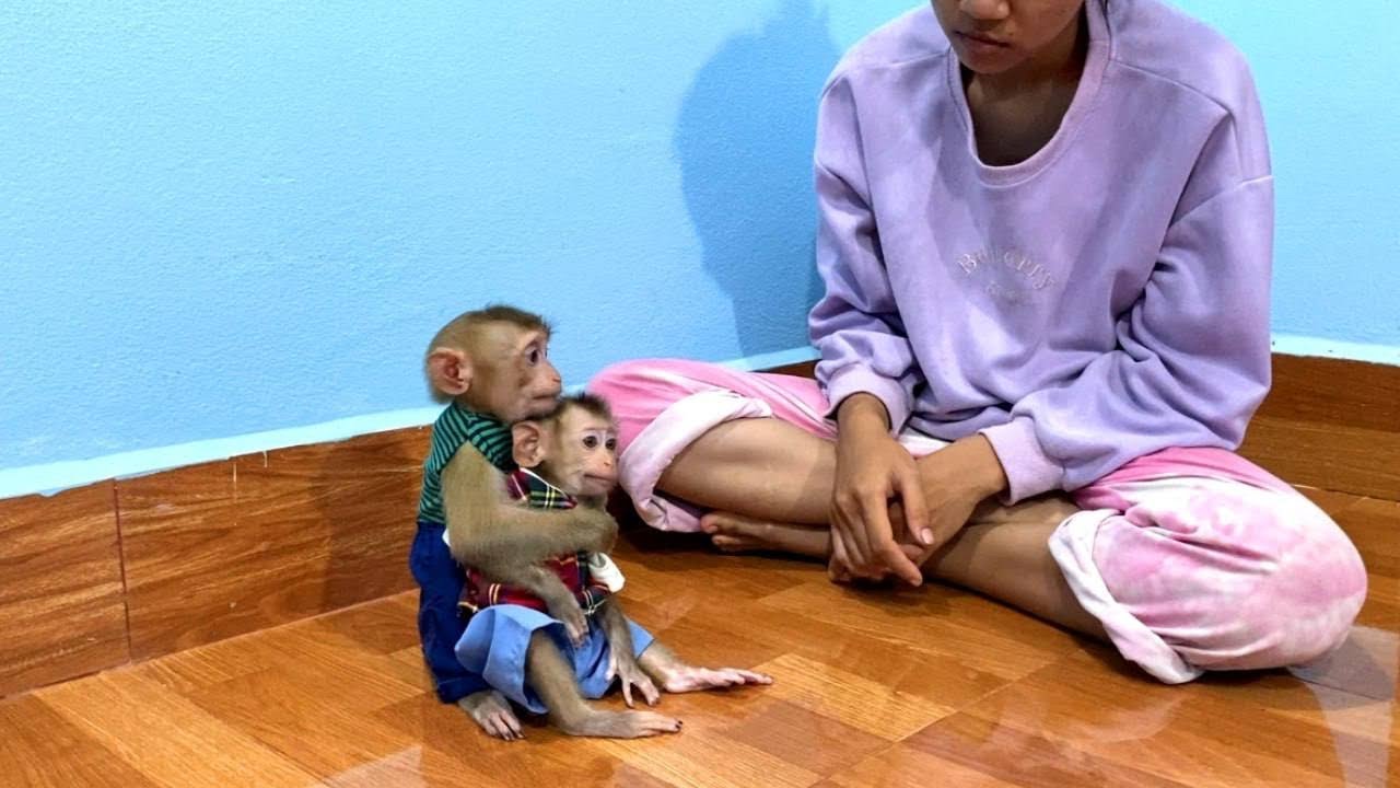 Sadd Jueur & Nasty Tourtour Sit Huq Together Listen Mom Teach For LOVE