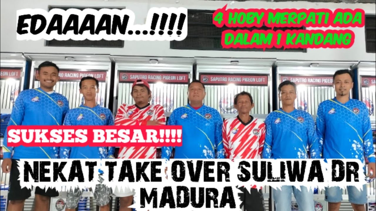 BONGKAR KANDANG SULIWA PRESIDEN TEAM GERSIK