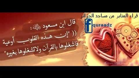 تلاوة خاشعة للقارئ أمين آيت أفروخ من الجزائر