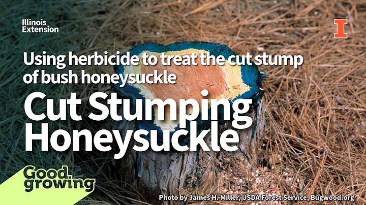 Gardenbite: Cut Stump Herbicide Treatment to Control Bush Honeysuckle | #GoodGrowing