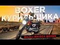 Bajaj Boxer BM150X - дешевый аналог Yamaha YBR-125