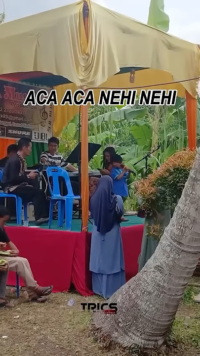 Aca Aca Nehi Nehi Cover @habibiputra147 #VT : @meliyha_fitrhie #lyrics #reels #viral #song #lirik