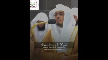وَلُوطًا آتَيْنَاهُ حُكْمًا وَعِلْمًا_ تلتوة من سورة الانبياء _ الشيخ ياسر الدوسري