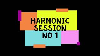 Harmonic Session No 1 (Mark Tarmonea,Monolink,Tigerskin,Marc Romboy,Blaktone,Super Flu,John Tejada)