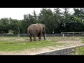 Givskud Zoo Billund