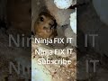 Be an IT NINJA subscribe @ITNinjaWarrior