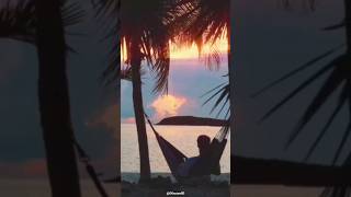 Snippet #tropicalhouse #music #kygomusic #edm