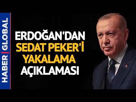Cumhurbaşkanı Erdoğan'dan Zehir Zemberek Sedat Peker Açıklaması!