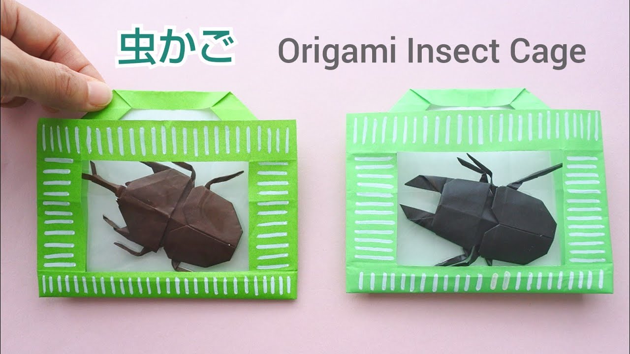Origami Insect Cage - YouTube