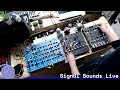 All the Soma Synths! - 17/02/22
