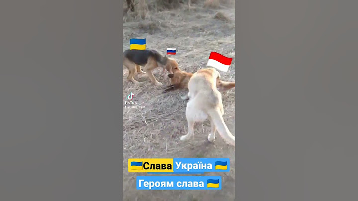 слава Україні 🇺🇦