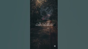 {سوره آل عمران ايه 170} [اسم القارئ المنشاوي]🤍 #قرآن