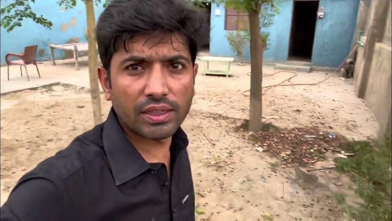 aj-gaon-ka-mosam-or-chawal-ke-fasal-k-bare-men-ap-ko-bataen-gay-youtube