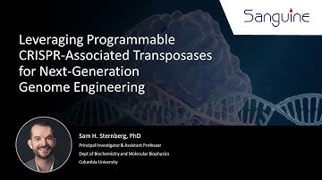 Leveraging Programmable CRISPR-Associated Transposases for Next-Generation Genome Engineering