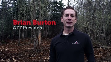 Using Digital Twin Technology in Forestry Management