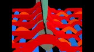 Crepe Weave, Cordroi Weave and Velvet Weaves