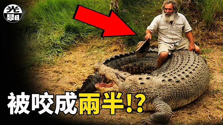 身體被咬成兩半!? 真實的恐怖巨獸殺人事件合集--懸案 刑事 調查 奇聞 檔案 迷案解讀 盡在光暗雜學 - 天天要聞