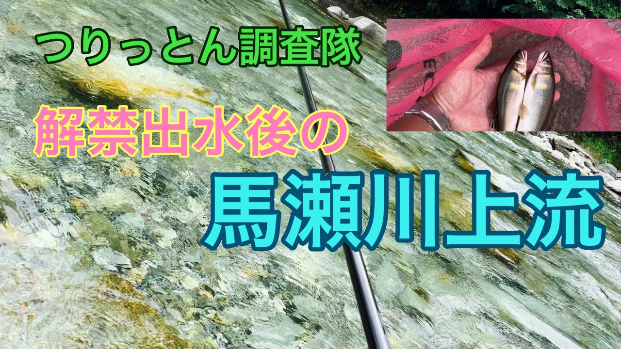 2024年6月26日の馬瀬川上流に行ったよ😊