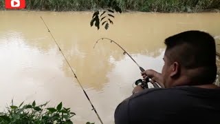 (EP: 23) MEMANCING DI SUNGAI MAMBAU N.SEMBILAN..SPOT YANG MANTAP🎣🎣STRIKE TERUS