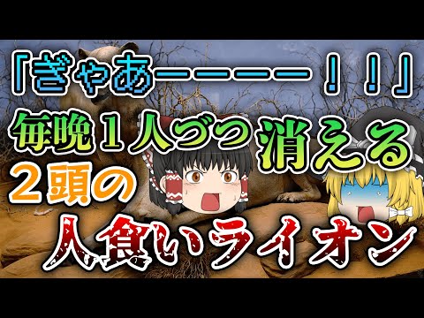 【ゆっくり解説】犠牲者28名以上｜ツァボの人食いライオンはなぜ「人食い」となったのか？