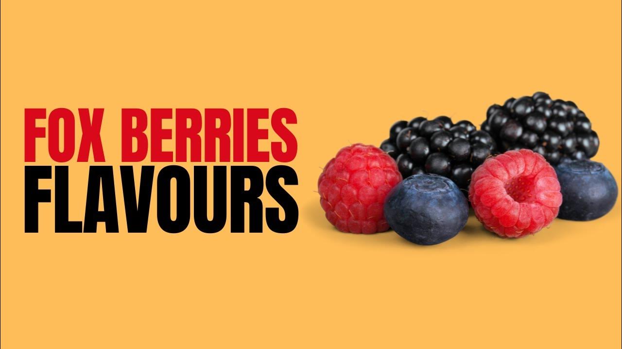 Fox Berries Flavours candy 90gm Tech With Saima YouTube