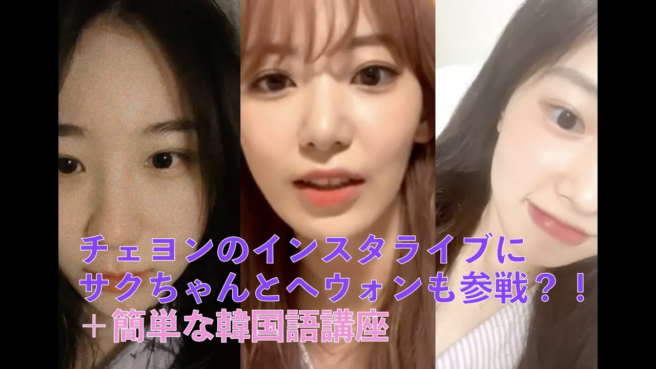 Iz One 日本語字幕 チェヨンのインスタライブにサクちゃんとへウォンも参戦 簡単な韓国語講座 Videos Wacoca Japan People Life Style