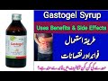 Gastogel Syrup Uses, Benefits & Side Effects in Urdu | Digestive Enzyme | Best for Stomach Problems