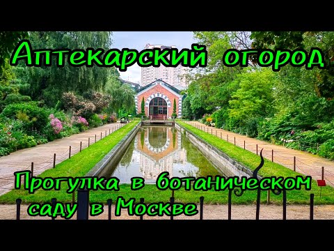 Аптекарский огород / Прогулка по Ботаническому саду в Москве