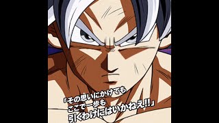 Dokkan Battle New Lr Mui Goku Revival Skill