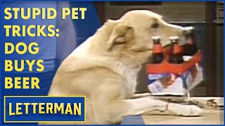 Stupid Pet Tricks: The Beer-Buying Dog, A Stupid Cockroach Trick And More | Letterman