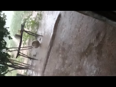 Vídeo - Restaurante fica totalmente destruído após chuva de granizo em  Araras, SP - Pedras 'cobriram' asfalto e assustaram moradores. Na zona  rural, galpão cedeu.