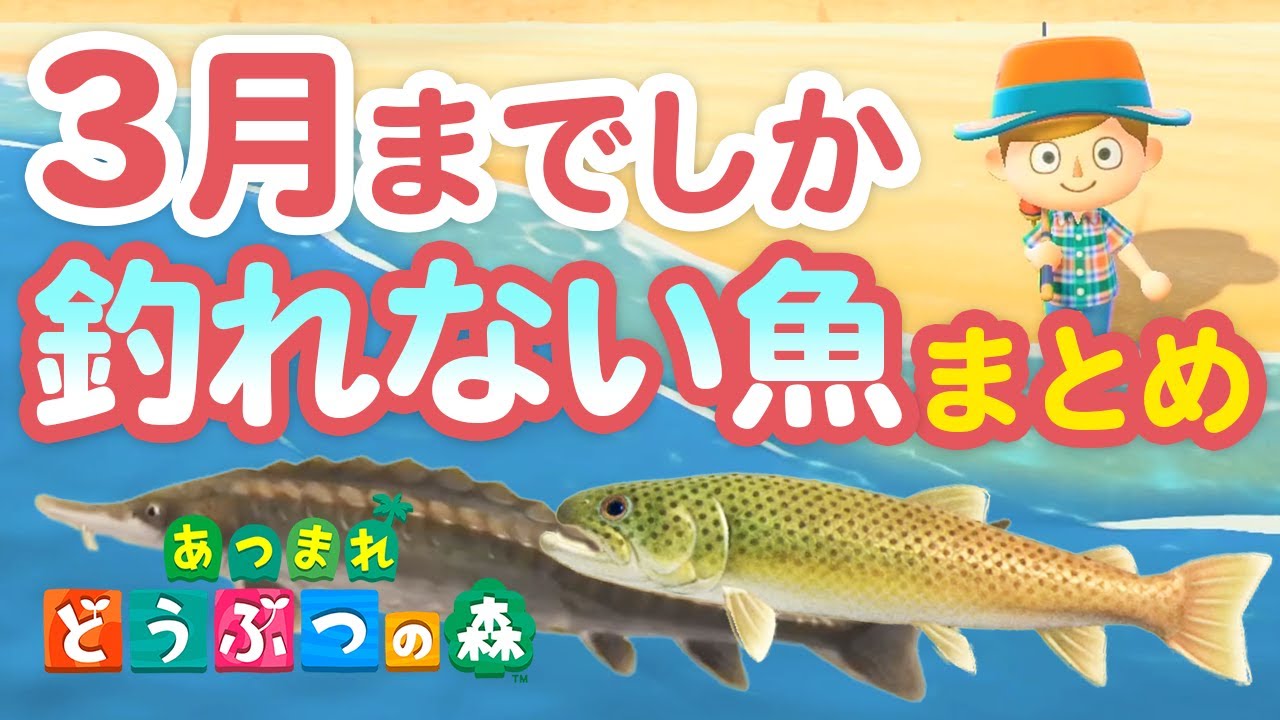 魚に話しかける あつ森 【あつ森】レアな生き物ランキングと入手するコツ