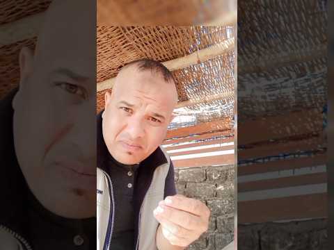 لو انت اتكسفت تطلب حقك