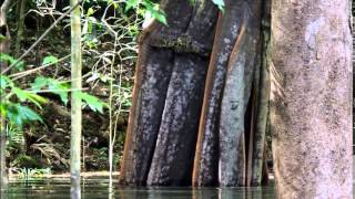 Amazon presentation April 2015 youtube