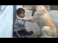 Sweet Mama Dog Interacting with a Beautiful Child with Down Syndrome Jim Stenson