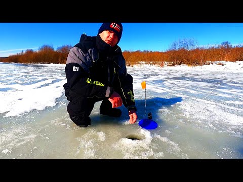 Поездка на Дачу , Мышиный рай, Рыбалка на Оке с ночевкой